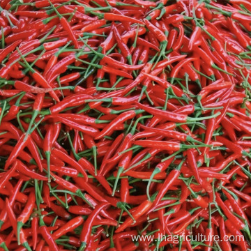 Sichuanpepper small dried red pepper for food seasoning